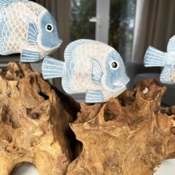 Darthome Limited Blue Fish On Teak Root Coral Reef Sculpture 11 Darthome Limited Blue Fish On Teak Root Coral Reef Sculpture -Darthome Limited IMG E5896