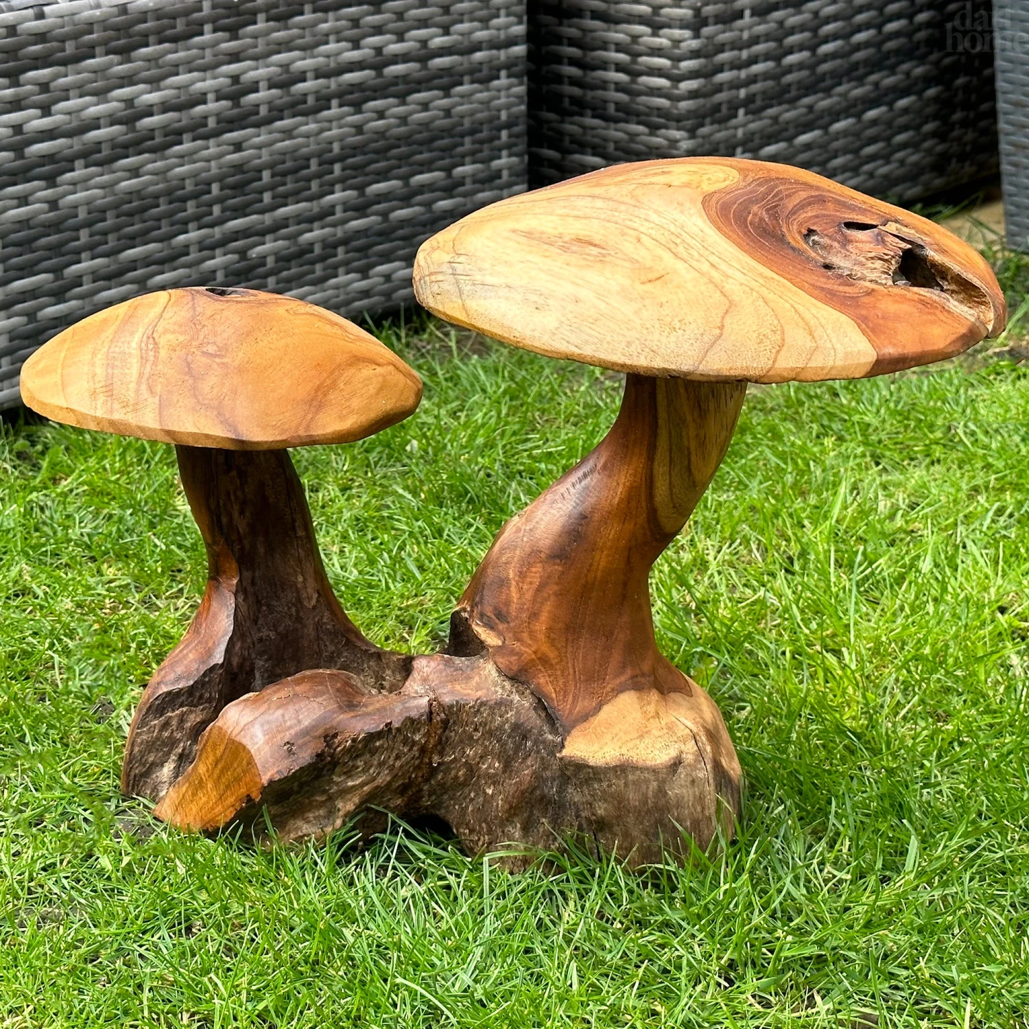 Darthome Limited Teak Root Double Wild Mushroom Sculpture 1 Darthome Limited Teak Root Double Wild Mushroom Sculpture