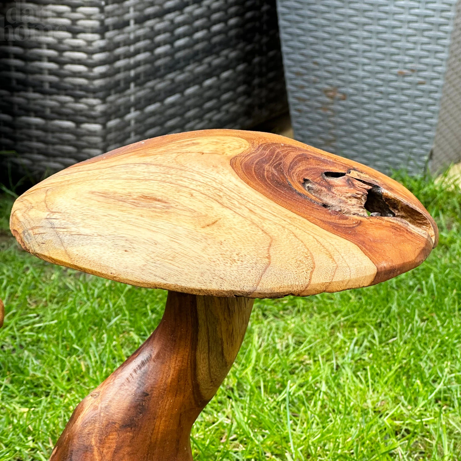 Darthome Limited Teak Root Double Wild Mushroom Sculpture 2 Darthome Limited Teak Root Double Wild Mushroom Sculpture - Image 2