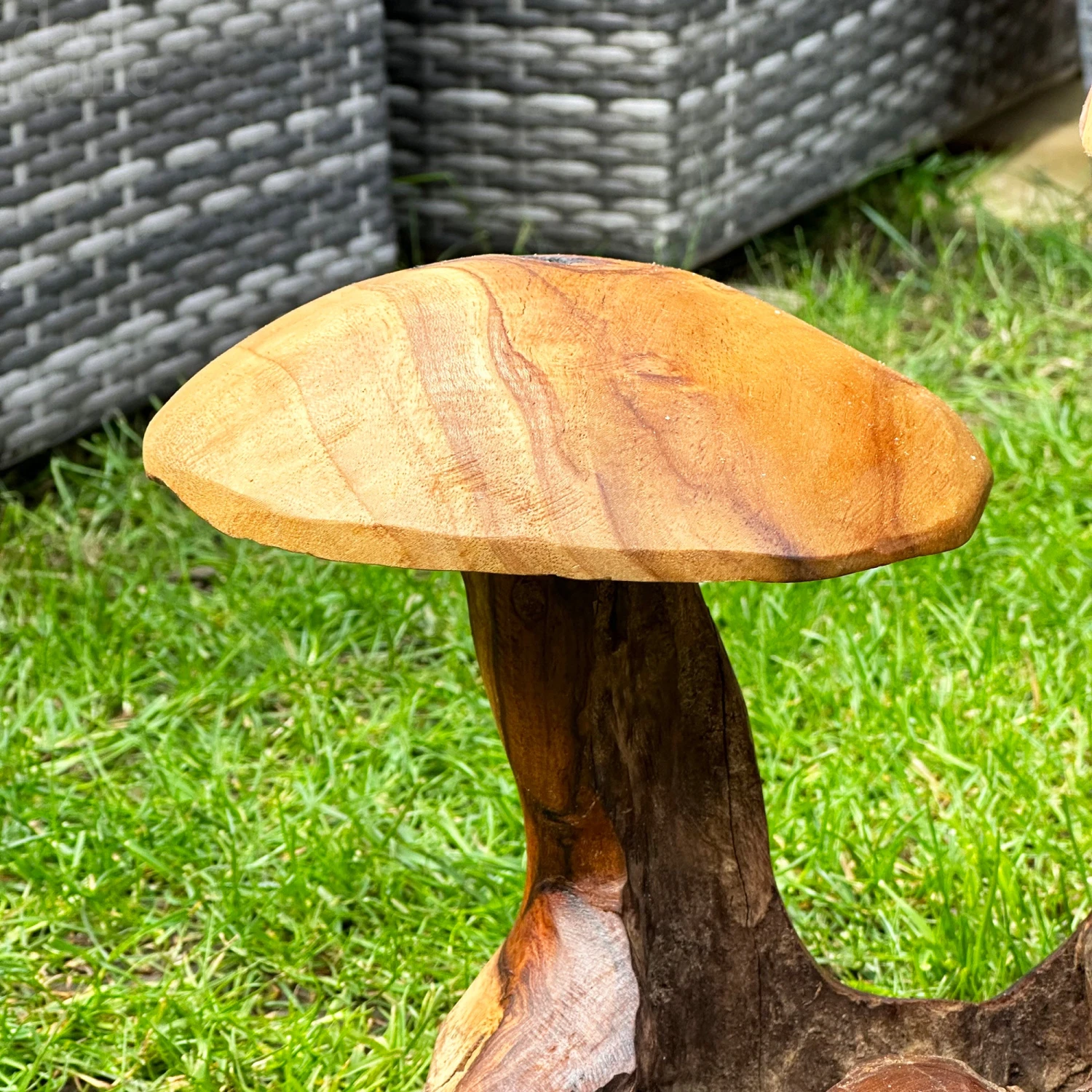 Darthome Limited Teak Root Double Wild Mushroom Sculpture 3 Darthome Limited Teak Root Double Wild Mushroom Sculpture - Image 3