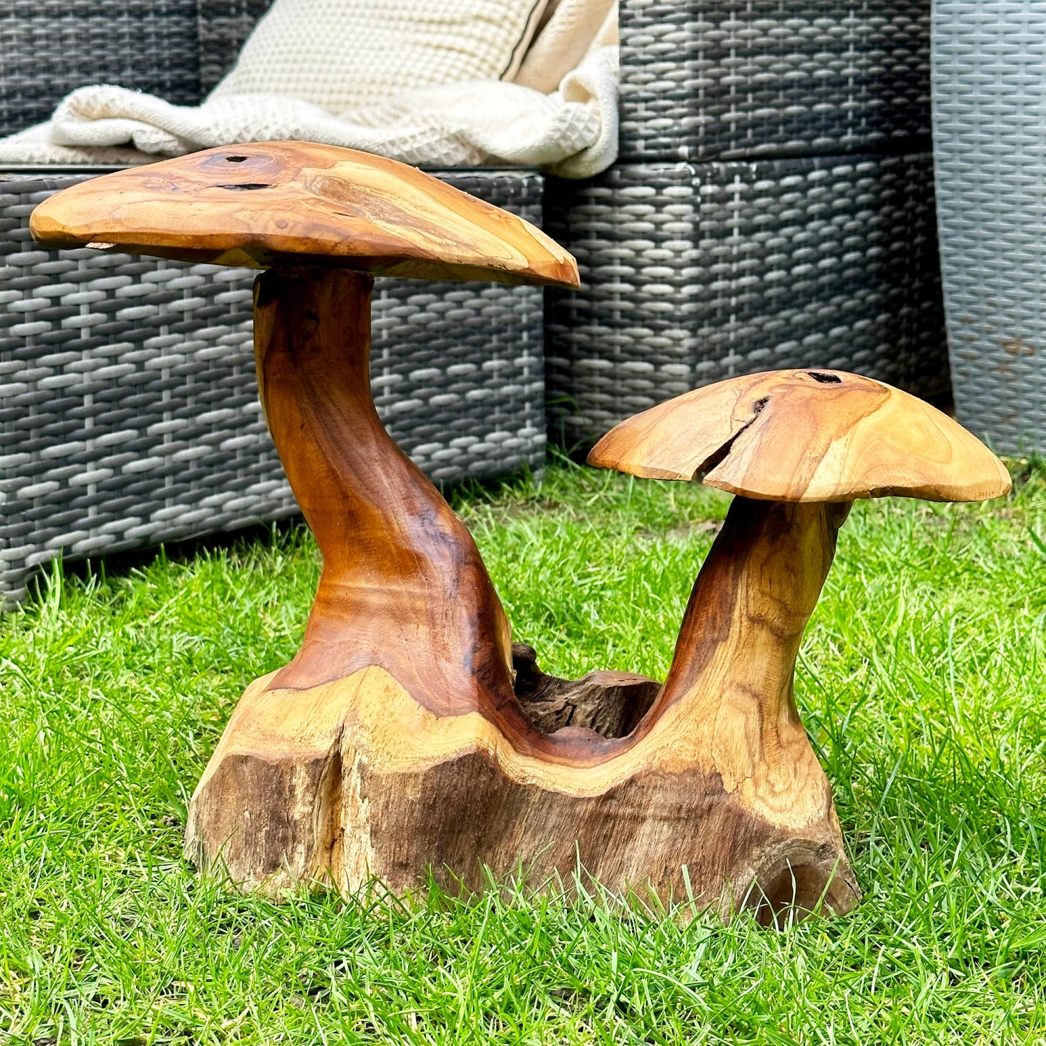 Darthome Limited Teak Root Double Wild Mushroom Sculpture 6 Darthome Limited Teak Root Double Wild Mushroom Sculpture - Image 6