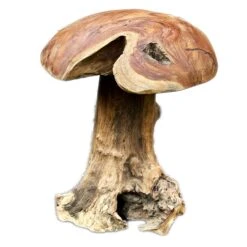 Darthome Limited Teak Root Mushroom Sculpture 35cm -Darthome Limited IMG E6056copy