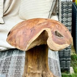 Darthome Limited Teak Root Mushroom Sculpture 35cm -Darthome Limited IMG E6058 11032191 8a8c 4856 a741 1fde7278541c