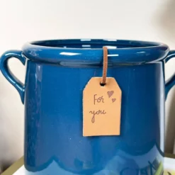 Darthome Limited Synergy Blue Urn Pot -Darthome Limited IMG E6257