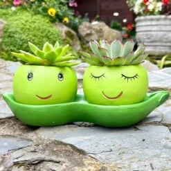 Darthome Limited Cement Two Peas In A Pod Succulent Planter