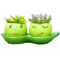 Darthome Limited Cement Two Peas In A Pod Succulent Planter -Darthome Limited IMG E6293 edited2copy