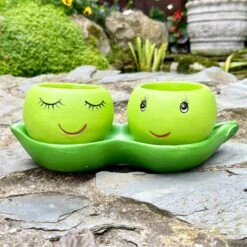 Darthome Limited Cement Two Peas In A Pod Succulent Planter -Darthome Limited IMG E6298 edited6
