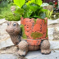Darthome Limited Cement Turtle Planter With Clay Pipe Pot