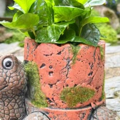 Darthome Limited Cement Turtle Planter With Clay Pipe Pot -Darthome Limited IMG E6313 edited19