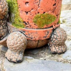 Darthome Limited Cement Turtle Planter With Clay Pipe Pot -Darthome Limited IMG E6314 edited20