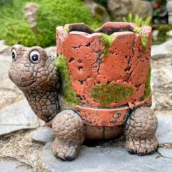 Darthome Limited Cement Turtle Planter With Clay Pipe Pot -Darthome Limited IMG E6316 edited22