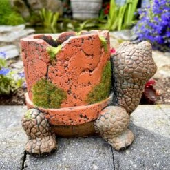 Darthome Limited Cement Turtle Planter With Clay Pipe Pot -Darthome Limited IMG E6318 edited24