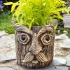 Darthome Limited Cement Tree Face Planter