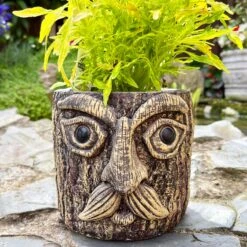 Darthome Limited Cement Tree Face Planter