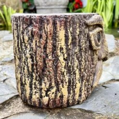 Darthome Limited Cement Tree Face Planter -Darthome Limited IMG E6328 edited33
