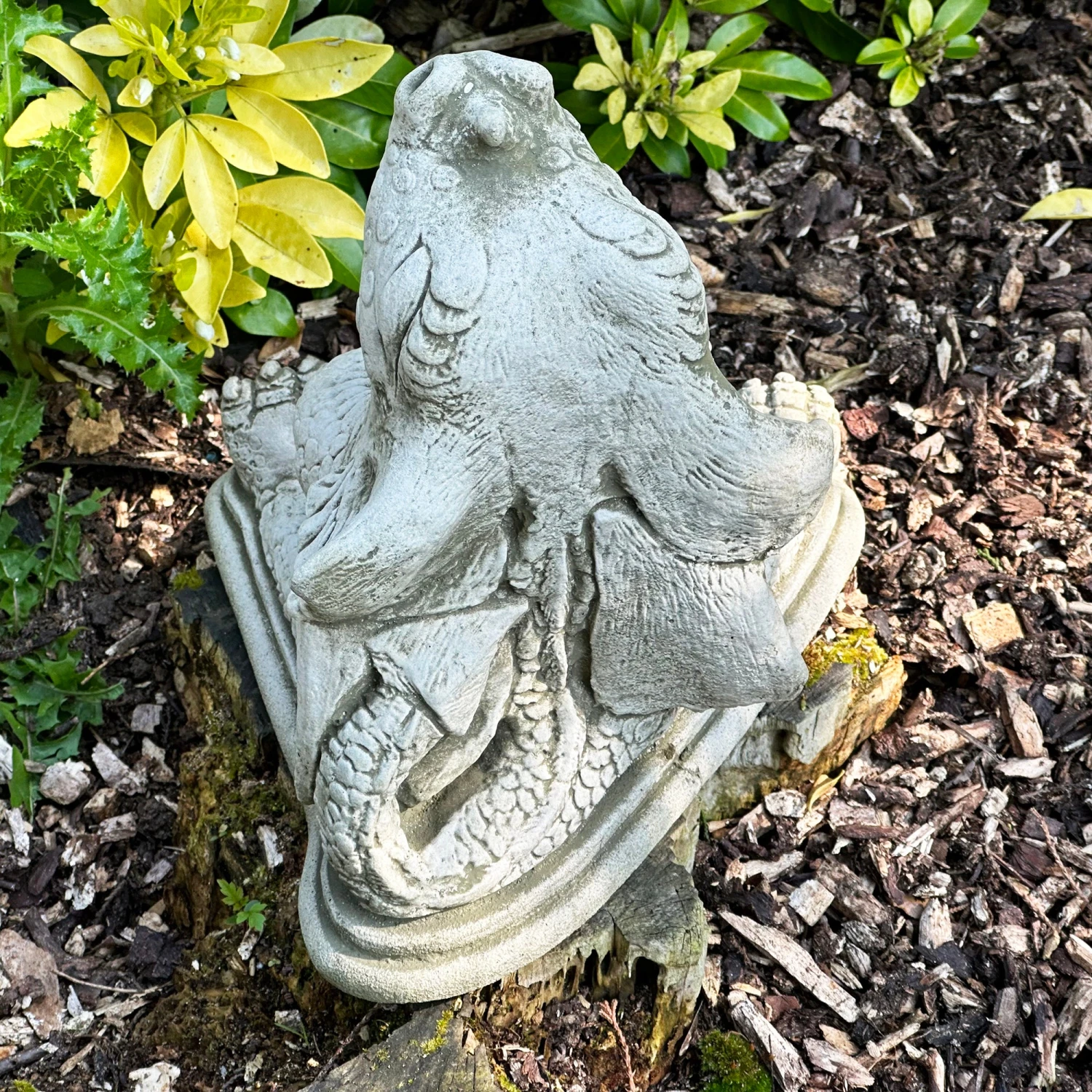 Darthome Limited Stone Naughty Dragon Garden Sculpture 4 Darthome Limited Stone Naughty Dragon Garden Sculpture - Image 4