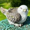Darthome Limited Large Bird Flower Pot