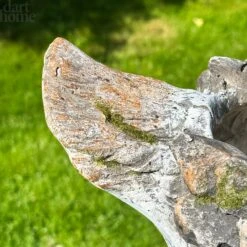 Darthome Limited Large Bird Flower Pot 10 Darthome Limited Large Bird Flower Pot -Darthome Limited IMG E6591 973725e4 d31b 46c1 8223 0871ea743be2