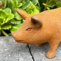 Darthome Limited Rust Cast Iron Pig Garden Statue 16cm -Darthome Limited IMG E6614 edited298