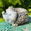 Darthome Limited Smiley Hedgehog Flower Pot