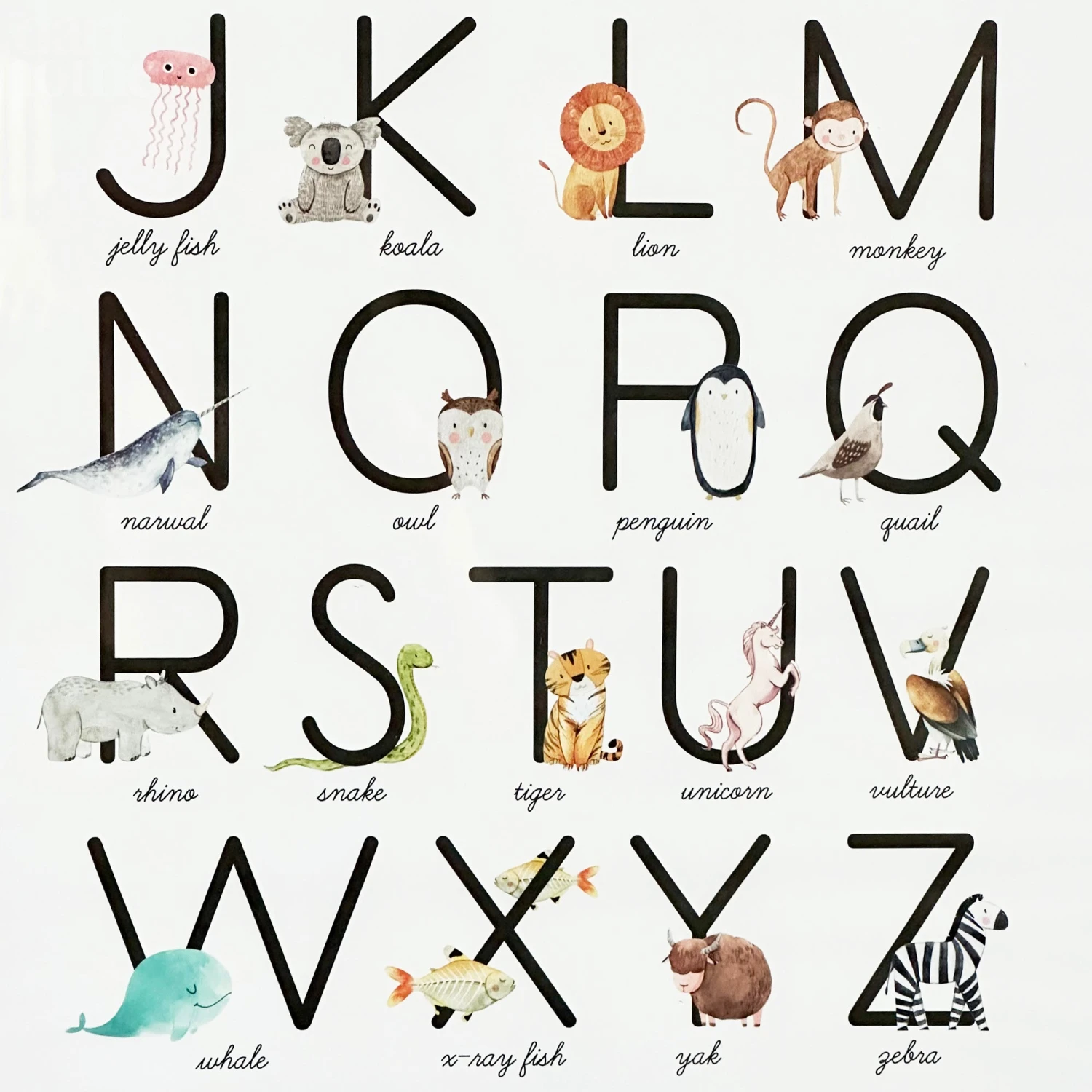 Darthome Limited Animal Alphabet Learning Framed Print 2 Darthome Limited Animal Alphabet Learning Framed Print - Image 2