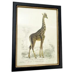 Darthome Limited Vintage Giraffe Framed Wall Art