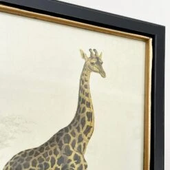 Darthome Limited Vintage Giraffe Framed Wall Art -Darthome Limited IMG E7286