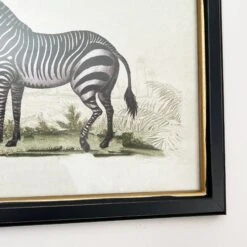 Darthome Limited Vintage Zebra Framed Wall Art -Darthome Limited IMG E7309