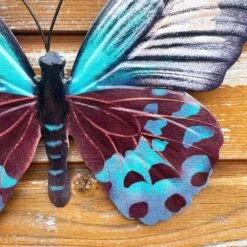 Darthome Limited Teal Butterfly Wall Art 10 Darthome Limited Teal Butterfly Wall Art -Darthome Limited IMG E7562 editedQ