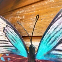 Darthome Limited Teal Butterfly Wall Art 12 Darthome Limited Teal Butterfly Wall Art -Darthome Limited IMG E7564 editedS