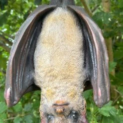 Darthome Limited Hanging Bat Garden Ornament 9 Darthome Limited Hanging Bat Garden Ornament -Darthome Limited IMG E7617 editedBK