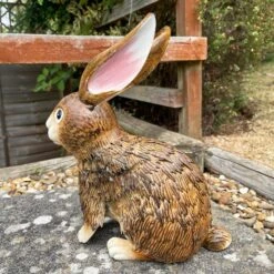 Darthome Limited Brown Metal Rabbit Garden Sculpture 9 Darthome Limited Brown Metal Rabbit Garden Sculpture -Darthome Limited IMG E7624 editedBR