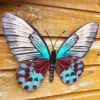 Darthome Limited Teal Butterfly Wall Art