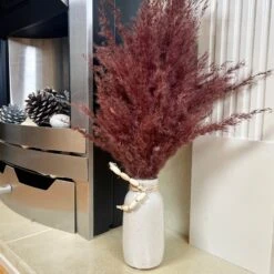 Darthome Limited Red Dried Pampas In Ceramic Vase -Darthome Limited IMG E8016 editedFB