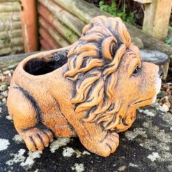 Darthome Limited Cement Lion Planter -Darthome Limited IMG E9290