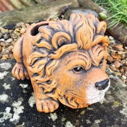 Darthome Limited Cement Lion Planter -Darthome Limited IMG E9295