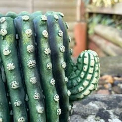 Darthome Limited Small Cement Cactus Planter -Darthome Limited IMG E9304