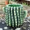 Darthome Limited Small Cement Cactus Planter