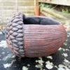Darthome Limited Cement Acorn Planter