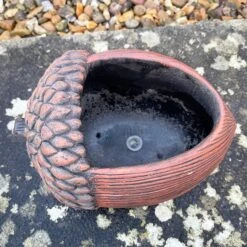 Darthome Limited Cement Acorn Planter -Darthome Limited IMG E9313