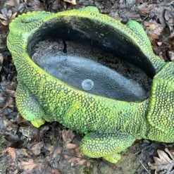 Darthome Limited Cement Green Chameleon Planter 11 Darthome Limited Cement Green Chameleon Planter -Darthome Limited IMG E9353