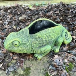 Darthome Limited Cement Green Chameleon Planter 17 Darthome Limited Cement Green Chameleon Planter -Darthome Limited IMG E9359