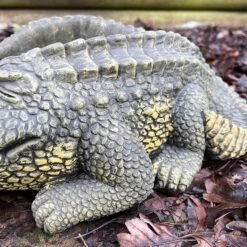 Darthome Limited Cement Crocodile Planter -Darthome Limited IMG E9368