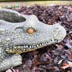 Darthome Limited Cement Crocodile Planter -Darthome Limited IMG E9372