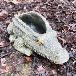 Darthome Limited Cement Crocodile Planter -Darthome Limited IMG E9374