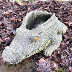 Darthome Limited Cement Crocodile Planter -Darthome Limited IMG E9375