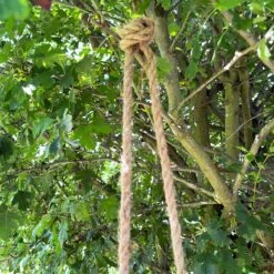 Darthome Limited Black Hanging Upside Down Monkey Ornament 9 Darthome Limited Black Hanging Upside Down Monkey Ornament -Darthome Limited IMG E9411 editedCQ