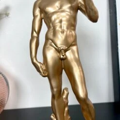 Darthome Limited Gold Cool David Michelangelo Ornament -Darthome Limited IMG E9670 editedIY