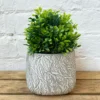 Darthome Limited Square Cement Embossed Leaf Pot